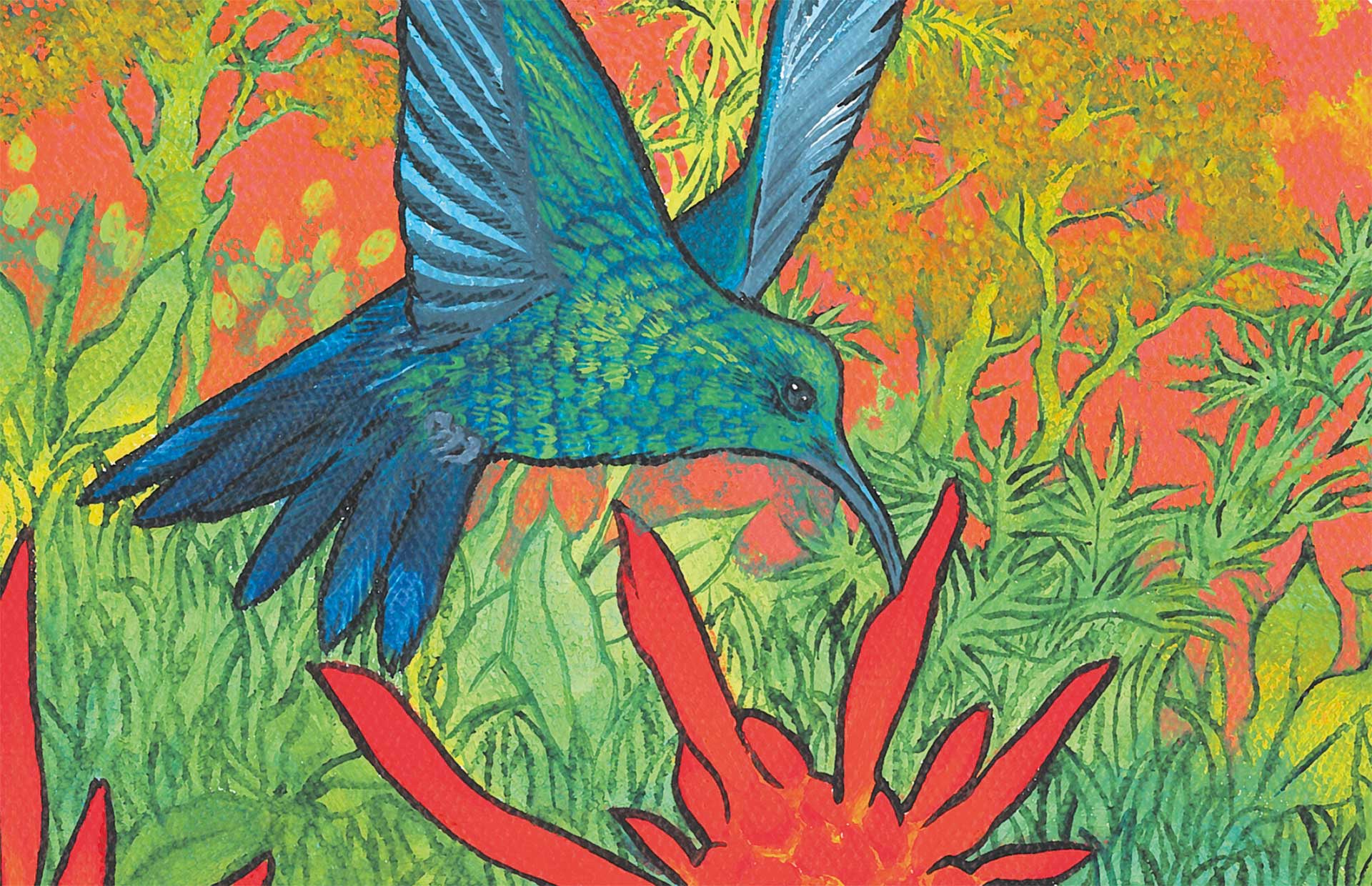 Colibri butinant, focus, Anne Kervarec artiste peintre