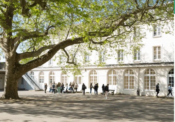 cours-université-catholique-ouest-exposition-janvier-février-2024-bibliothèque-portes-ouvertes